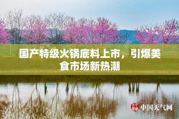 国产特级火锅底料上市，引爆美食市场新热潮