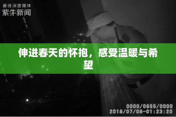 伸进春天的怀抱，感受温暖与希望