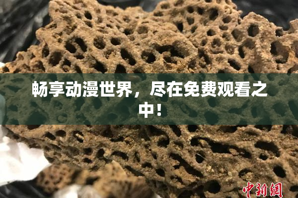 畅享动漫世界，尽在免费观看之中！