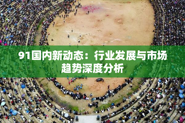 91国内新动态：行业发展与市场趋势深度分析