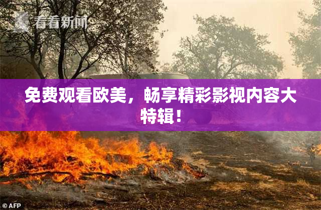 免费观看欧美，畅享精彩影视内容大特辑！