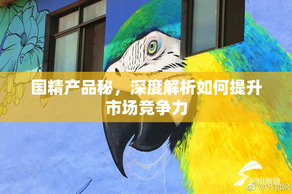 国精产品秘，深度解析如何提升市场竞争力