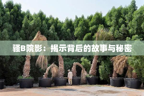骚B院影：揭示背后的故事与秘密