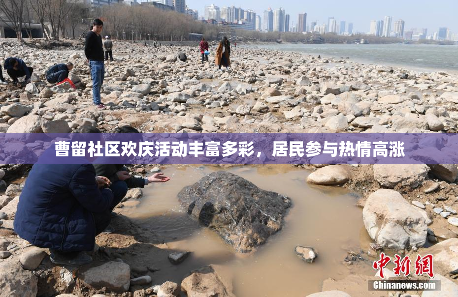 曹留社区欢庆活动丰富多彩，居民参与热情高涨