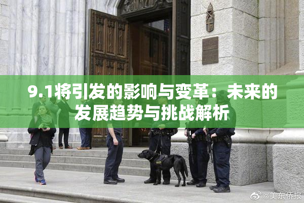 9.1将引发的影响与变革：未来的发展趋势与挑战解析