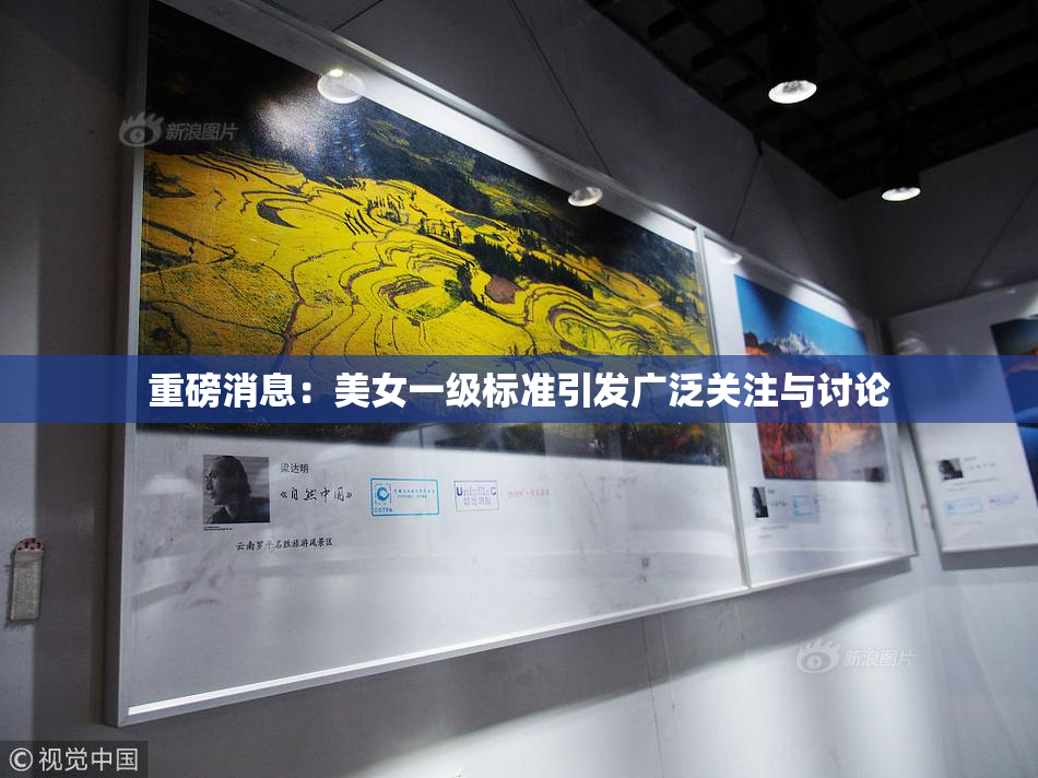 重磅消息：美女一级标准引发广泛关注与讨论