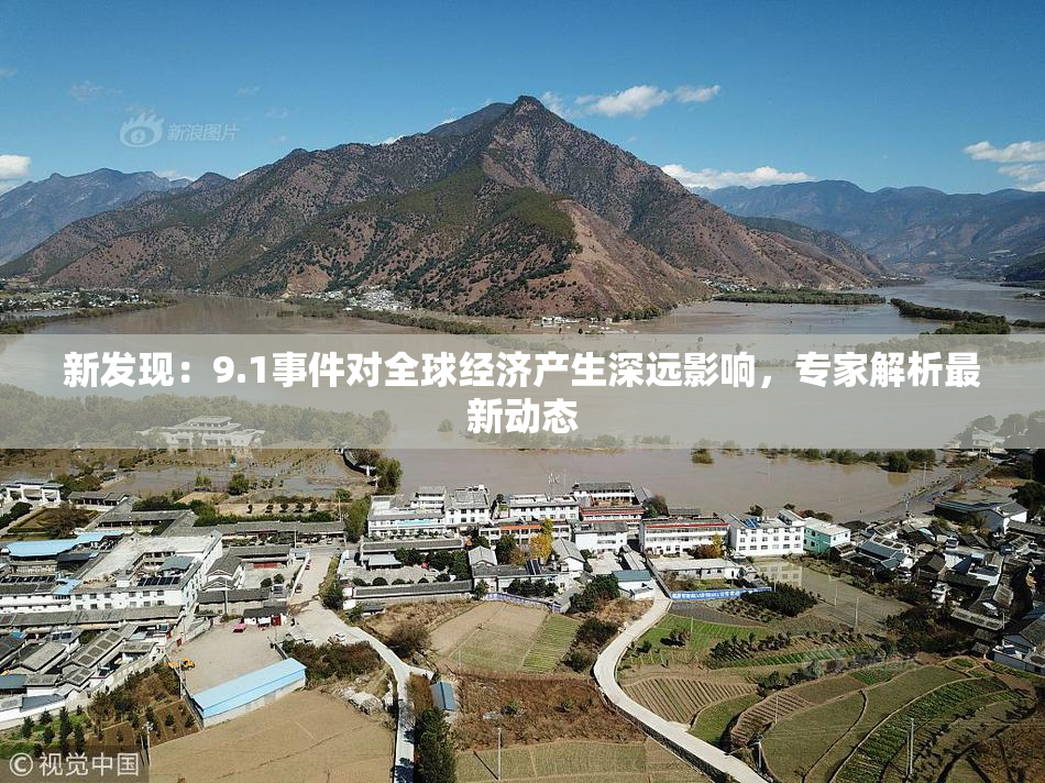 新发现：9.1事件对全球经济产生深远影响，专家解析最新动态