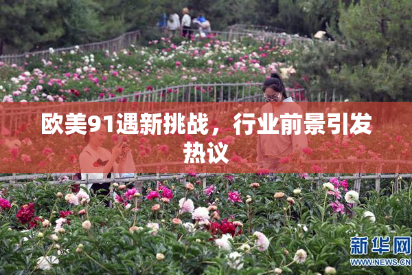 欧美91遇新挑战，行业前景引发热议
