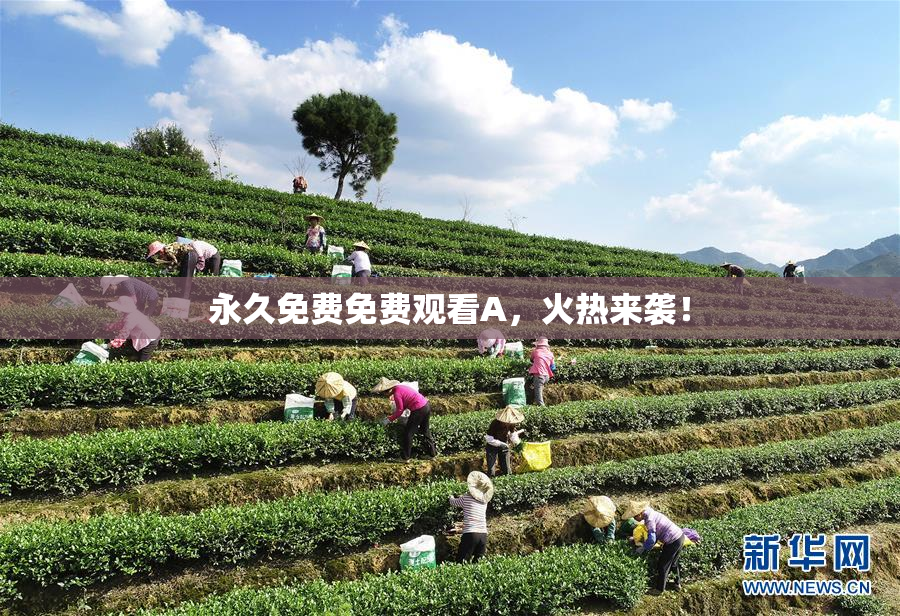 永久免费免费观看A，火热来袭！