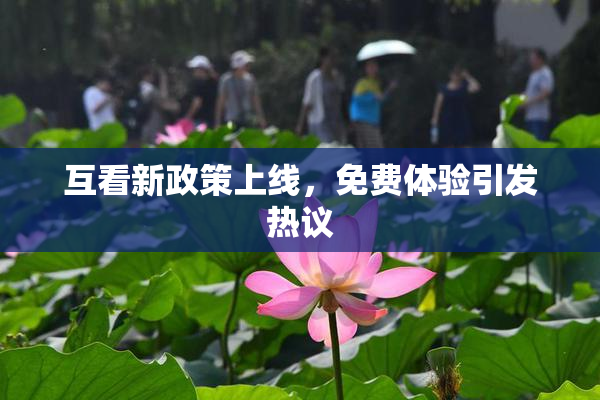 互看新政策上线，免费体验引发热议