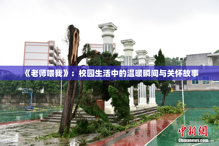 《老师喂我》：校园生活中的温暖瞬间与关怀故事