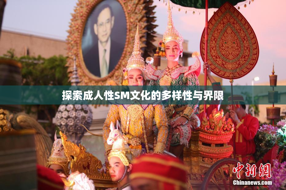 探索成人性SM文化的多样性与界限