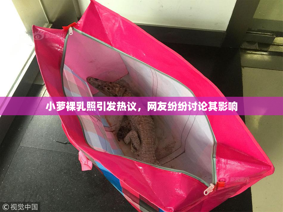 小萝裸乳照引发热议，网友纷纷讨论其影响