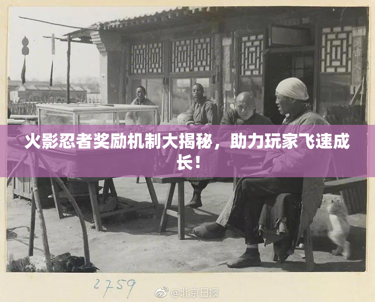 火影忍者奖励机制大揭秘，助力玩家飞速成长！