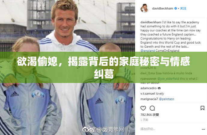 欲渴偷媳，揭露背后的家庭秘密与情感纠葛