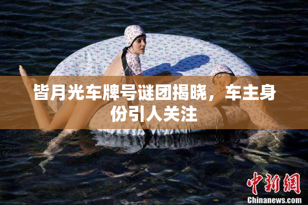 皆月光车牌号谜团揭晓，车主身份引人关注