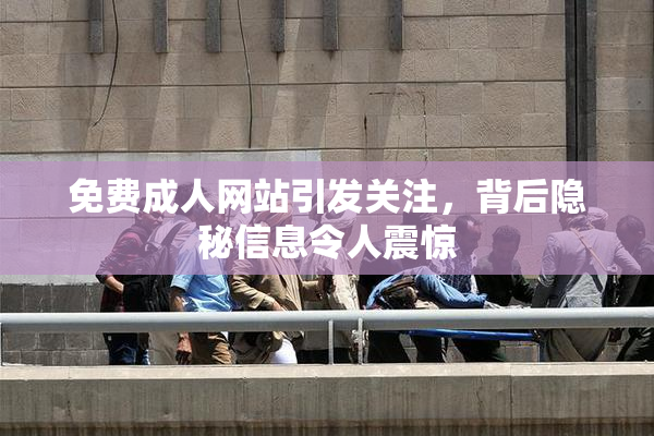 免费成人网站引发关注，背后隐秘信息令人震惊
