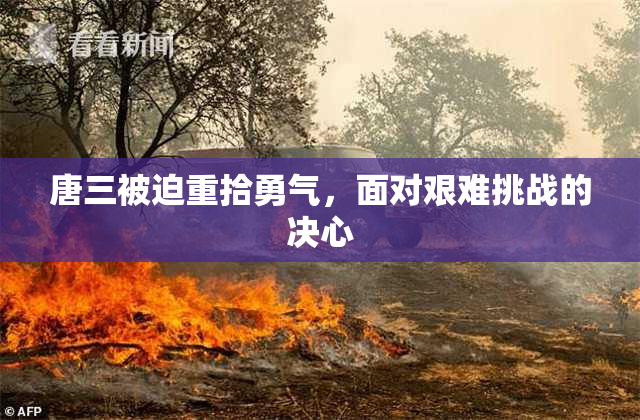 唐三被迫重拾勇气，面对艰难挑战的决心