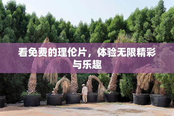 看免费的理伦片，体验无限精彩与乐趣