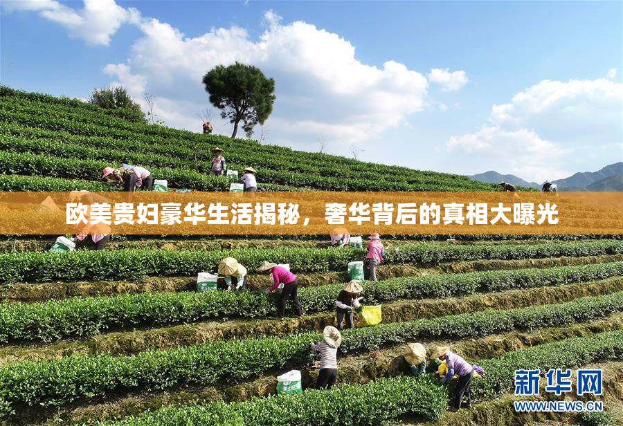 欧美贵妇豪华生活揭秘，奢华背后的真相大曝光