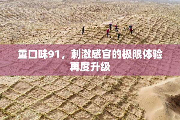 重口味91，刺激感官的极限体验再度升级