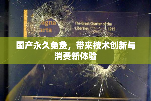 国产永久免费，带来技术创新与消费新体验