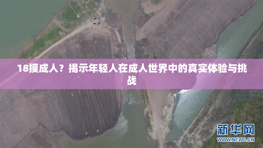 18摸成人？揭示年轻人在成人世界中的真实体验与挑战