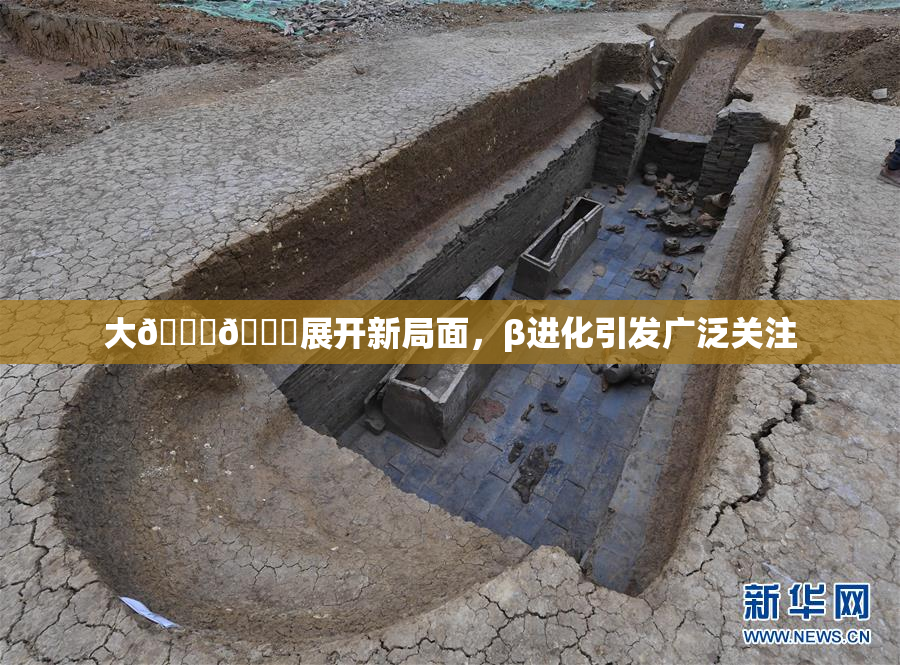 大🐔🐔展开新局面，β进化引发广泛关注