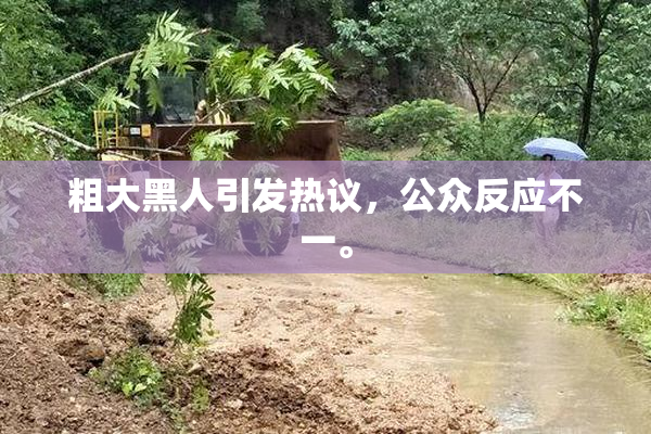 粗大黑人引发热议，公众反应不一。