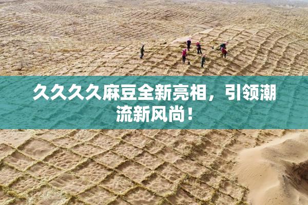 久久久久麻豆全新亮相，引领潮流新风尚！