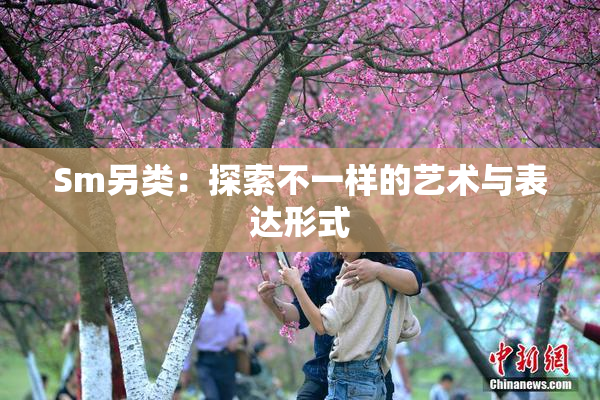 Sm另类：探索不一样的艺术与表达形式