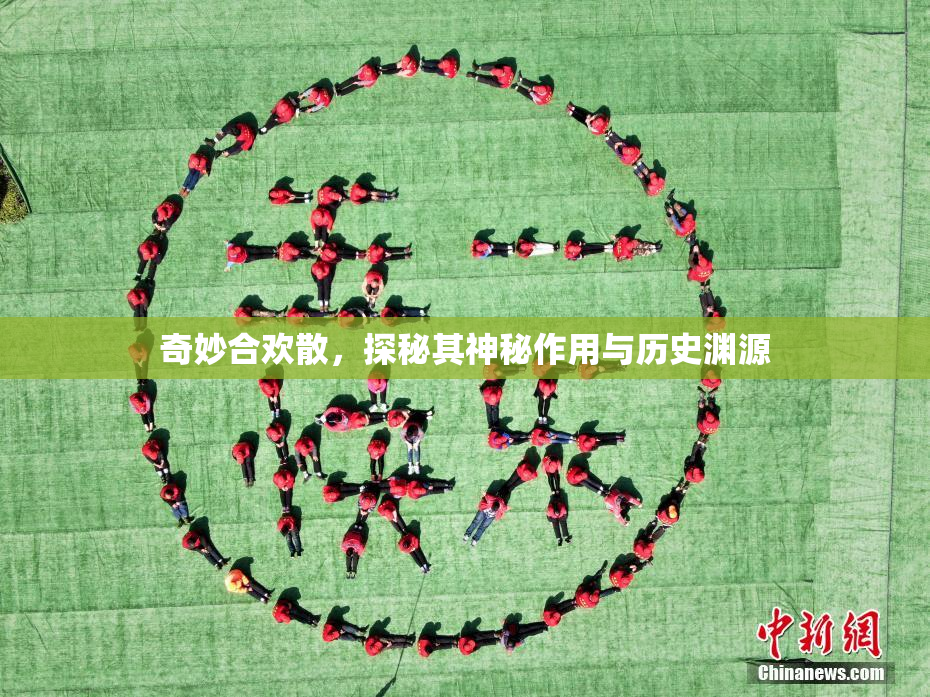 奇妙合欢散，探秘其神秘作用与历史渊源