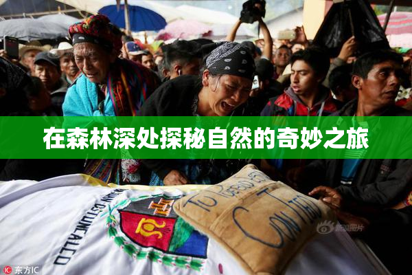 在森林深处探秘自然的奇妙之旅