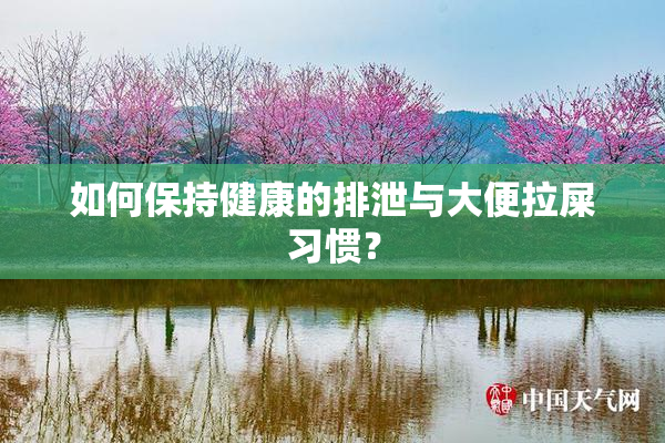如何保持健康的排泄与大便拉屎习惯？
