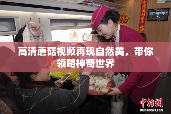 高清蘑菇视频再现自然美，带你领略神奇世界