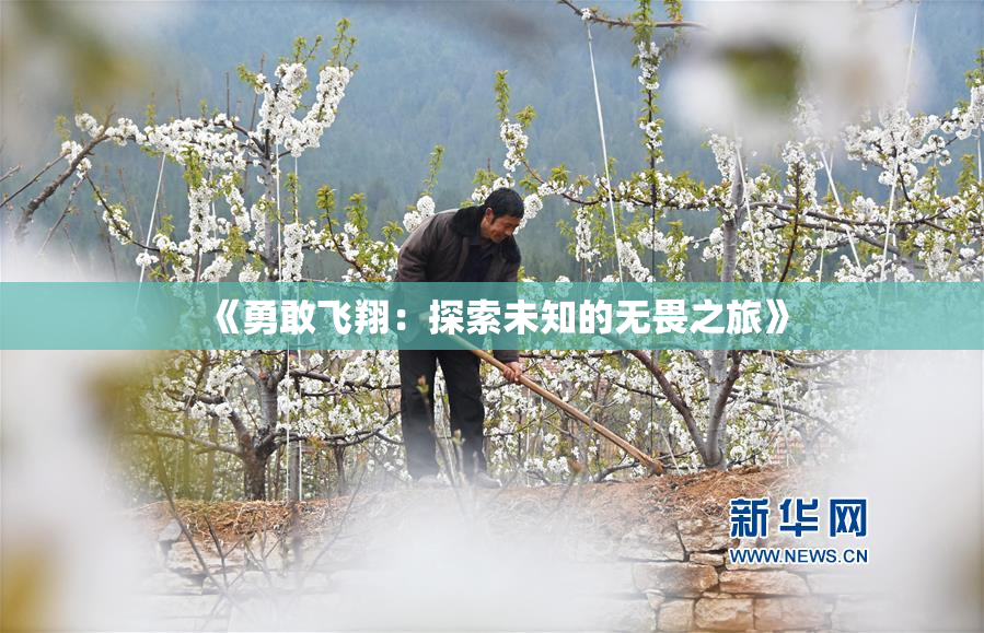《勇敢飞翔：探索未知的无畏之旅》