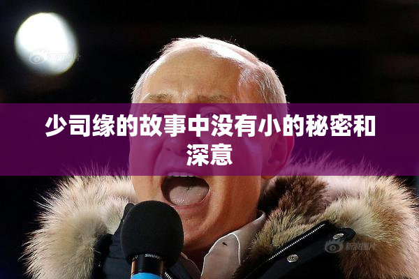 少司缘的故事中没有小的秘密和深意