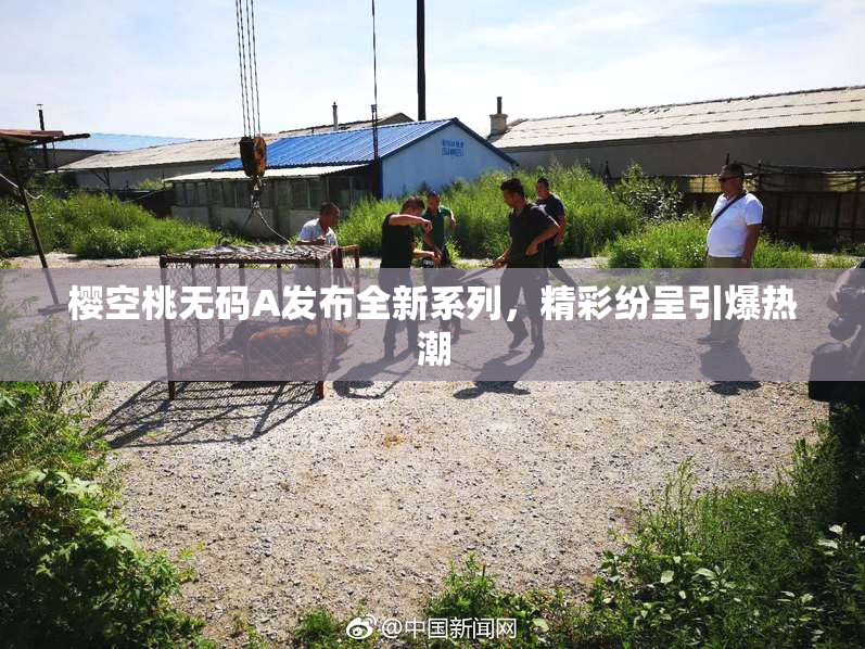 樱空桃无码A发布全新系列，精彩纷呈引爆热潮