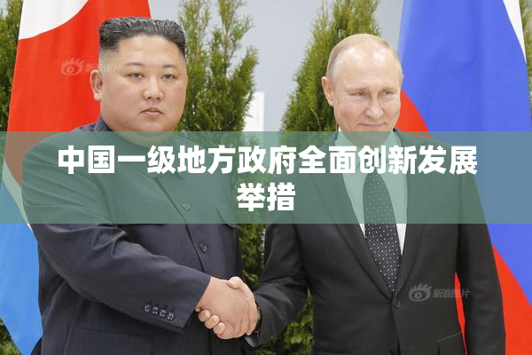 中国一级地方政府全面创新发展举措
