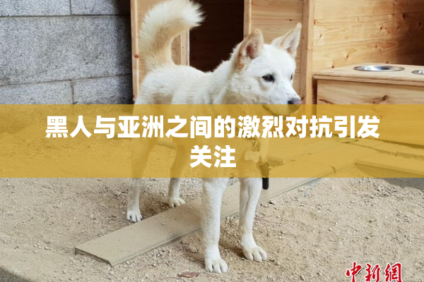 黑人与亚洲之间的激烈对抗引发关注
