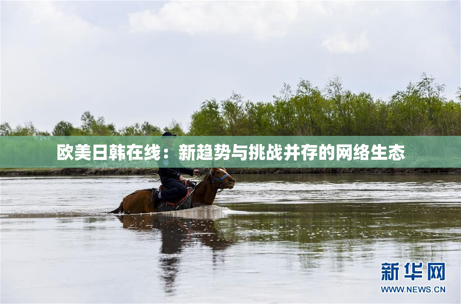 欧美日韩在线：新趋势与挑战并存的网络生态