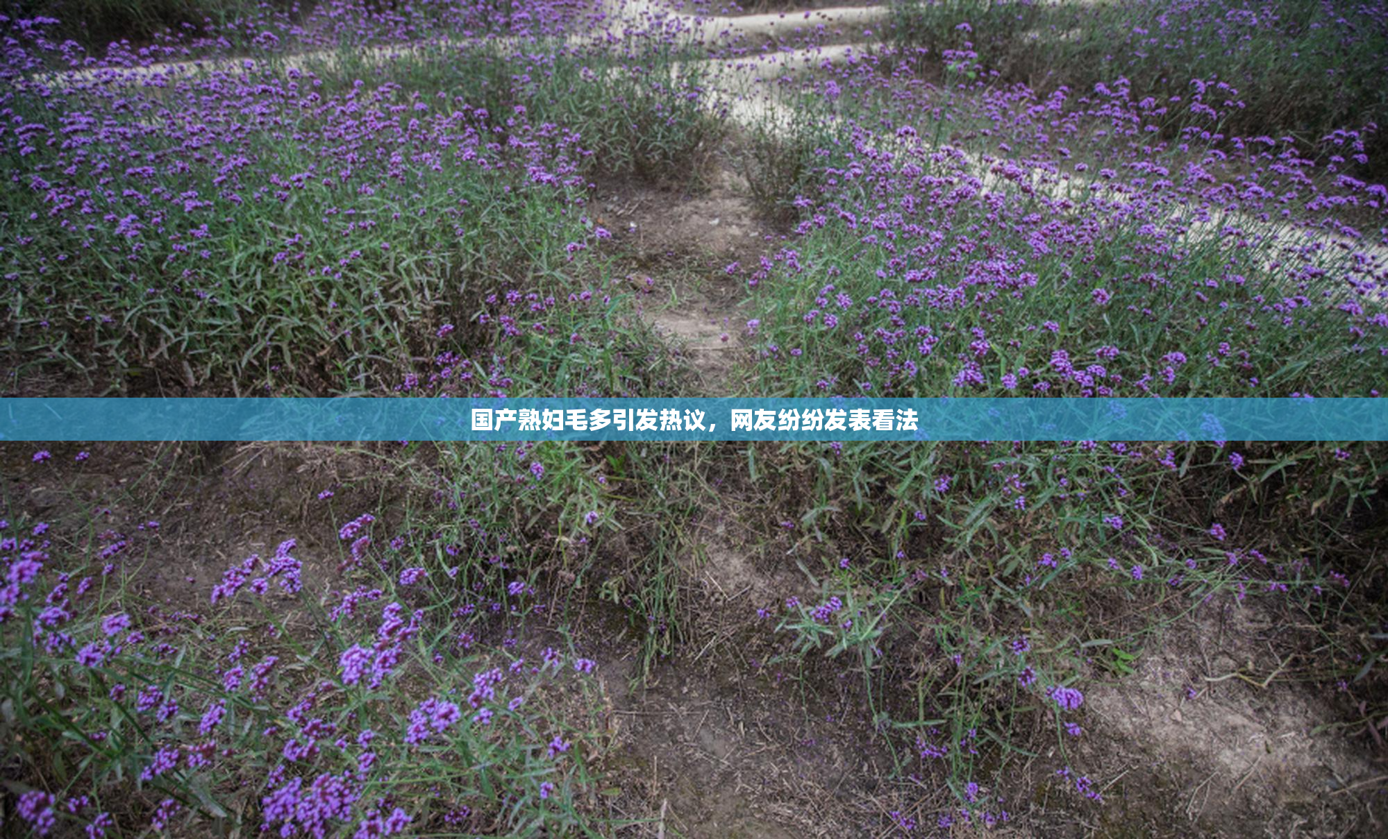 国产熟妇毛多引发热议，网友纷纷发表看法
