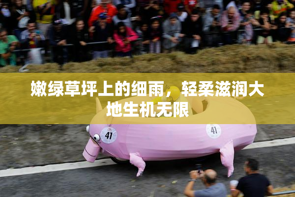嫩绿草坪上的细雨，轻柔滋润大地生机无限