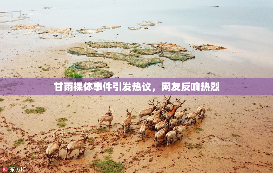 甘雨裸体事件引发热议，网友反响热烈