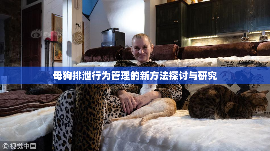 母狗排泄行为管理的新方法探讨与研究