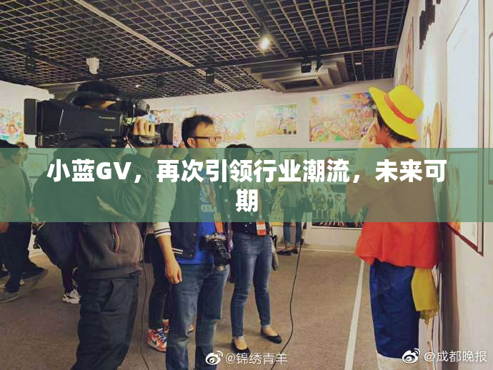 小蓝GV，再次引领行业潮流，未来可期