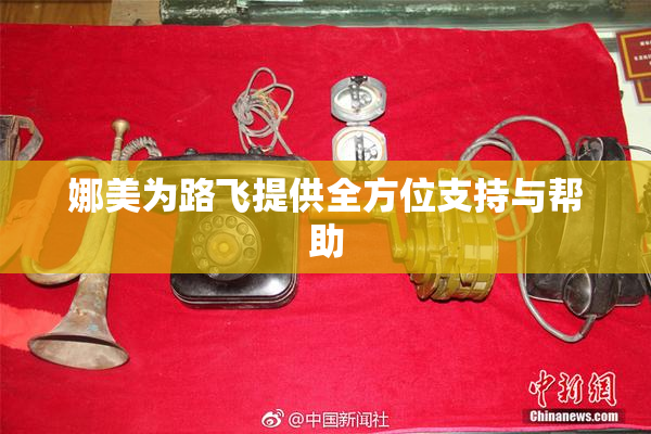娜美为路飞提供全方位支持与帮助