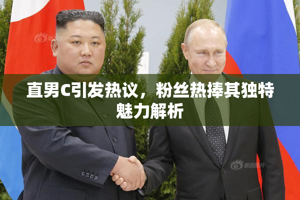 直男C引发热议，粉丝热捧其独特魅力解析