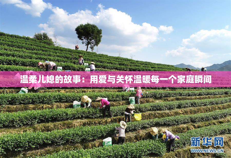 温柔儿媳的故事：用爱与关怀温暖每一个家庭瞬间