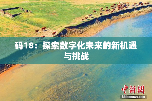码18：探索数字化未来的新机遇与挑战